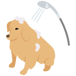 iconfinder_24_5986482