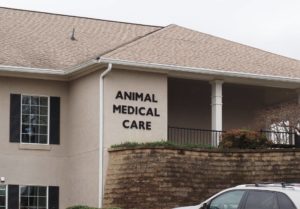 animal medical care building